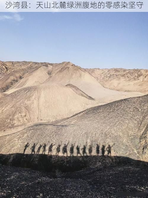 沙湾县：天山北麓绿洲腹地的零感染坚守