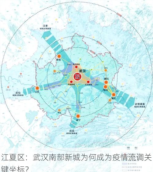 江夏区:武汉南部新城为何成为疫情流调关键坐标?