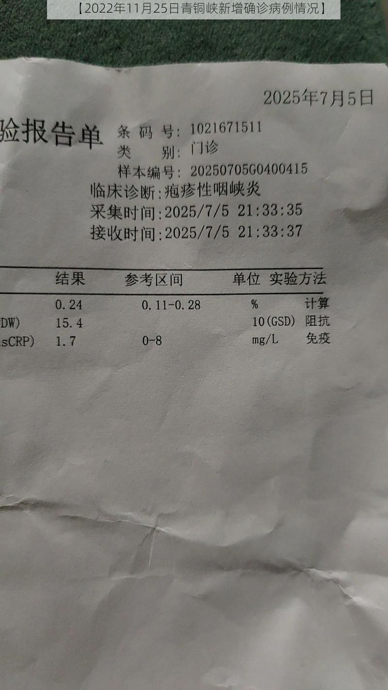 【2022年11月25日青铜峡新增确诊病例情况】