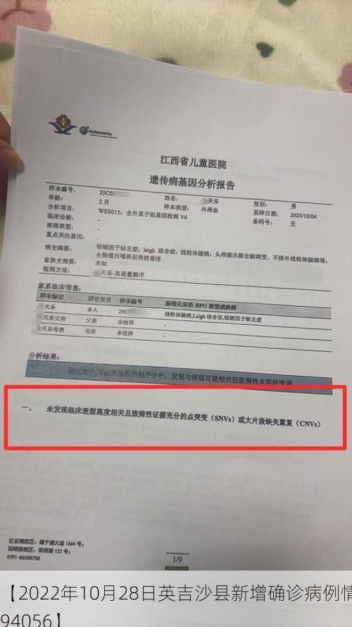 【2022年10月28日英吉沙县新增确诊病例情况_94056】