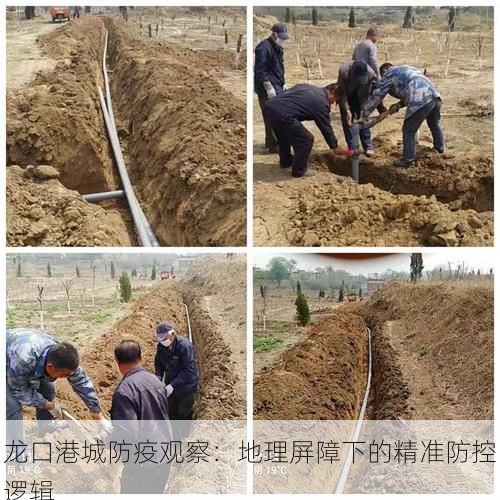 龙口港城防疫观察:地理屏障下的精准防控逻辑