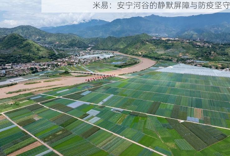 米易:安宁河谷的静默屏障与防疫坚守