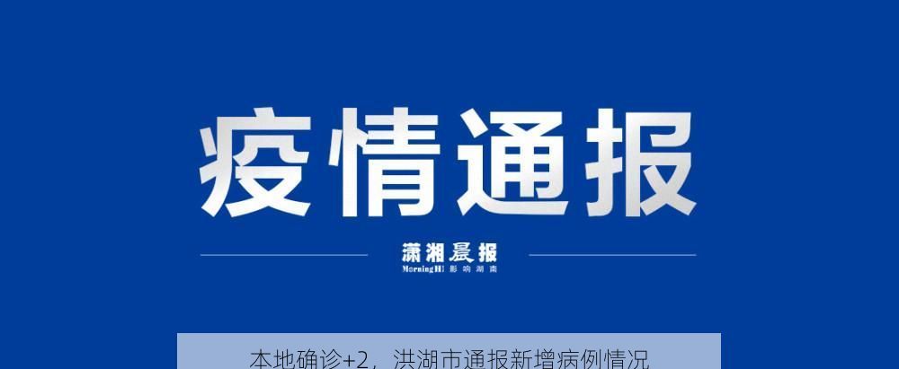 本地确诊+2，洪湖市通报新增病例情况