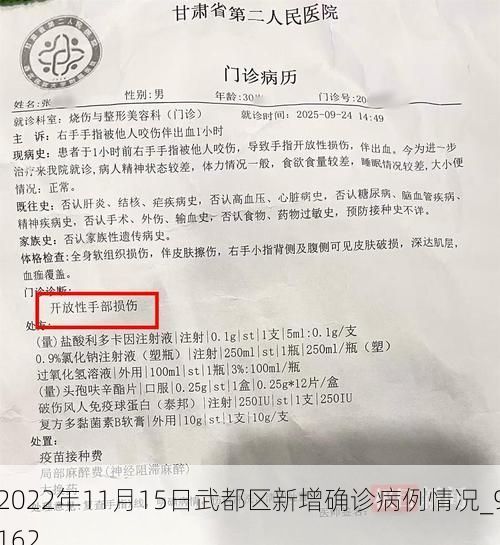 2022年11月15日武都区新增确诊病例情况_9162