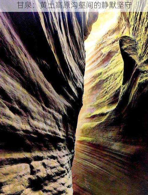 甘泉：黄土高原沟壑间的静默坚守