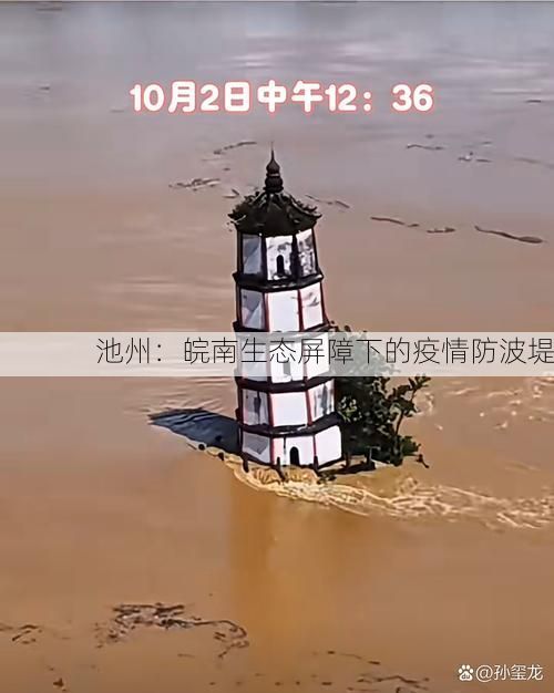 池州：皖南生态屏障下的疫情防波堤
