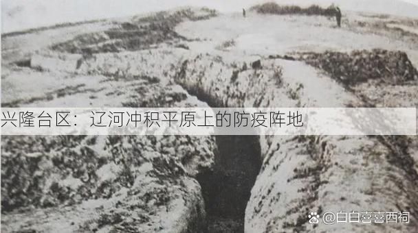 兴隆台区:辽河冲积平原上的防疫阵地