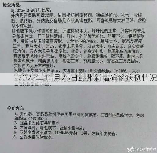 2022年11月25日彭州新增确诊病例情况