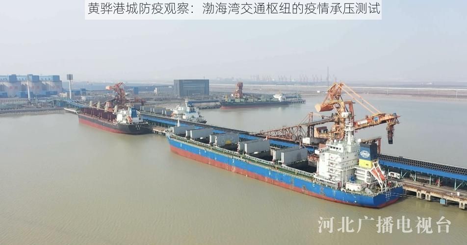 黄骅港城防疫观察:渤海湾交通枢纽的疫情承压测试