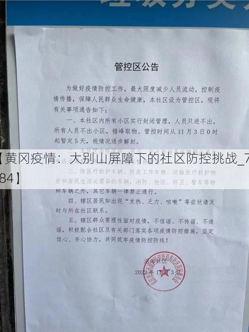 【黄冈疫情：大别山屏障下的社区防控挑战_78684】
