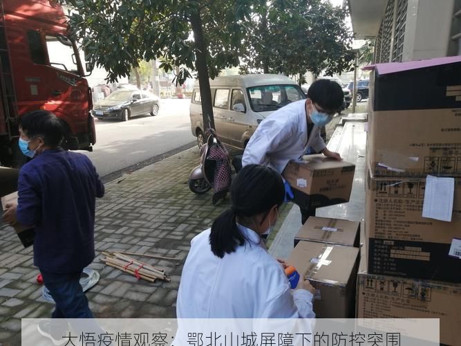 大悟疫情观察:鄂北山城屏障下的防控突围