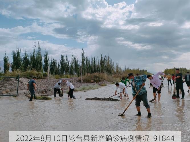 2022年8月10日轮台县新增确诊病例情况_91844