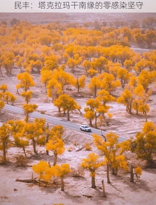 民丰：塔克拉玛干南缘的零感染坚守