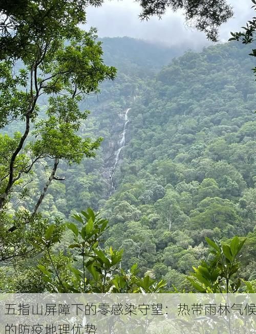五指山屏障下的零感染守望：热带雨林气候的防疫地理优势