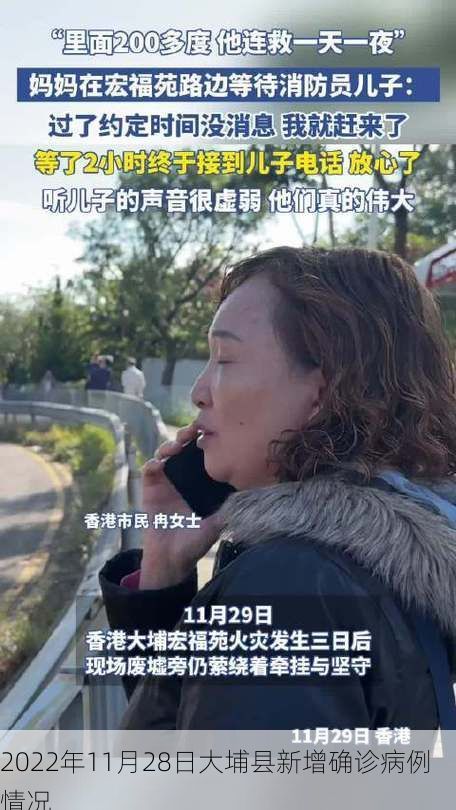 2022年11月28日大埔县新增确诊病例情况