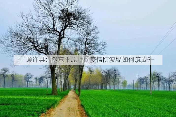 通许县:豫东平原上的疫情防波堤如何筑成?
