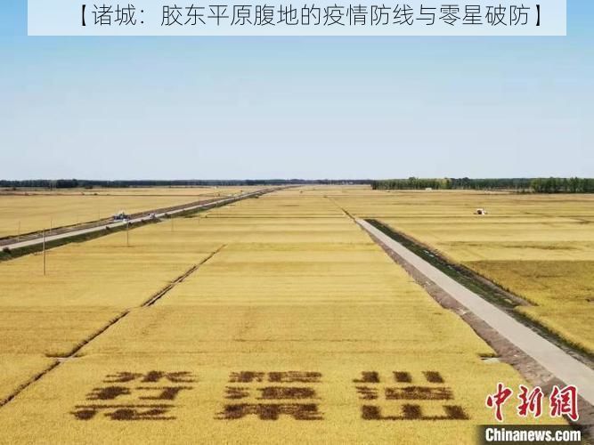 【诸城：胶东平原腹地的疫情防线与零星破防】