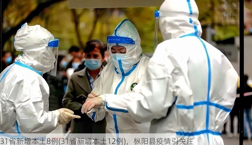 31省新增本土8例(31省新增本土12例)，枞阳县疫情引关注