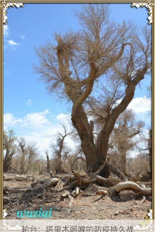 轮台:塔里木咽喉的防疫持久战