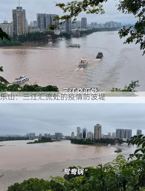 乐山：三江汇流处的疫情防波堤