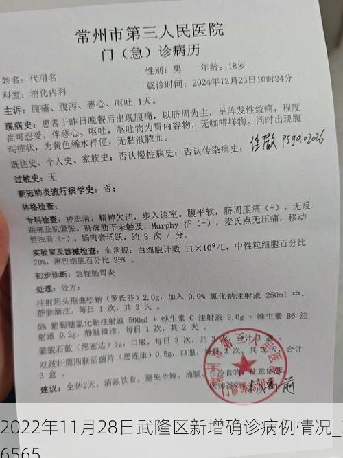2022年11月28日武隆区新增确诊病例情况_36565
