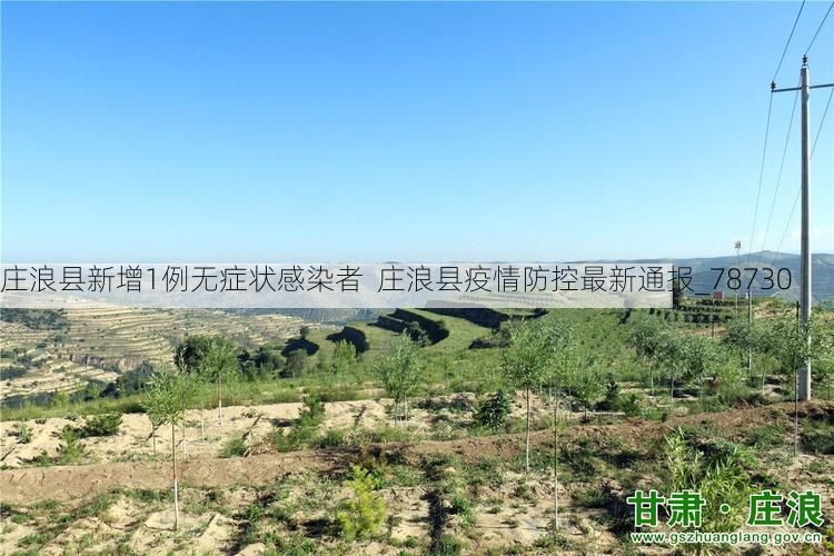 庄浪县新增1例无症状感染者 庄浪县疫情防控最新通报_78730