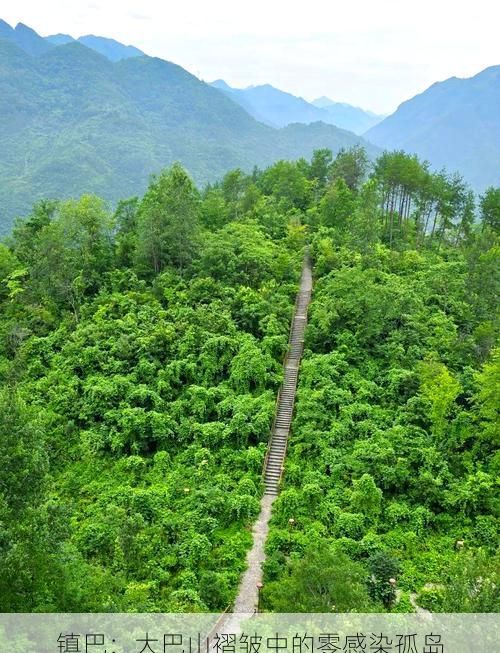 镇巴：大巴山褶皱中的零感染孤岛