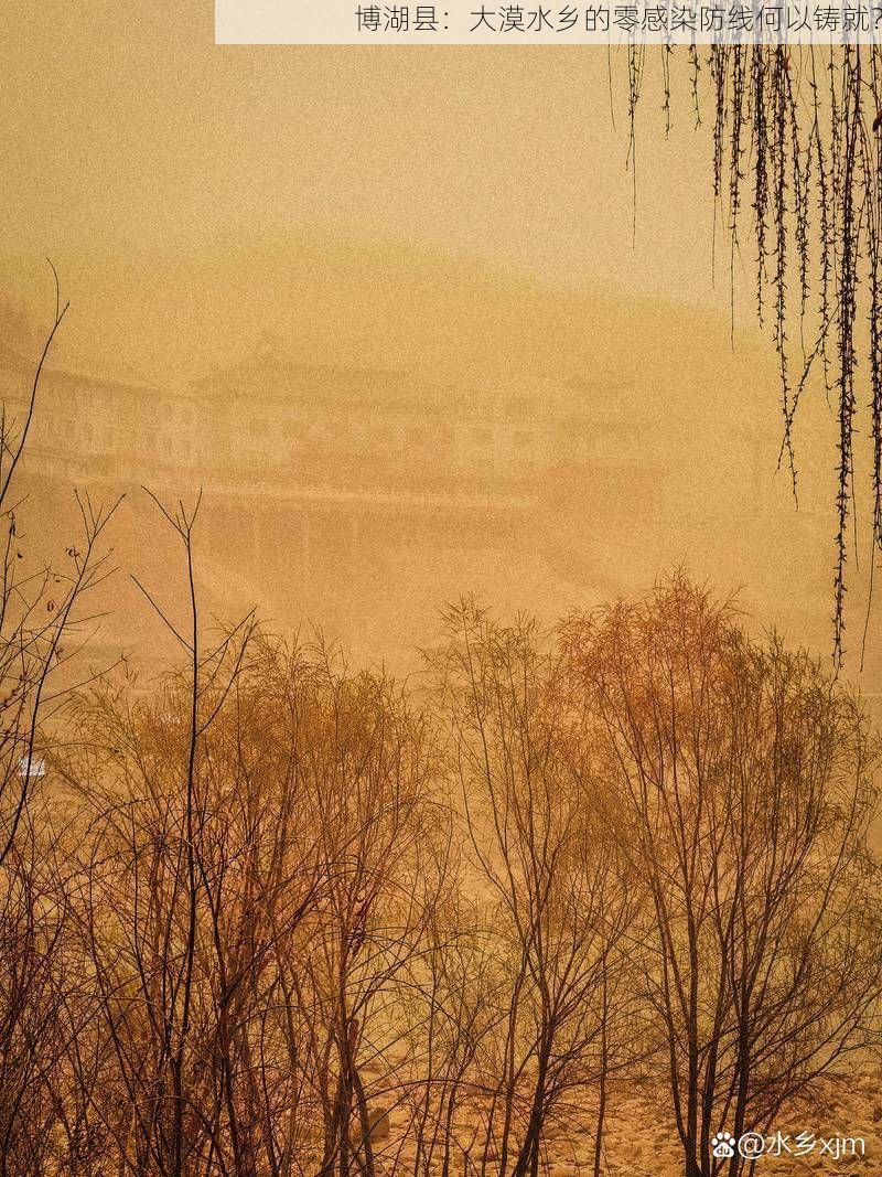 博湖县：大漠水乡的零感染防线何以铸就？