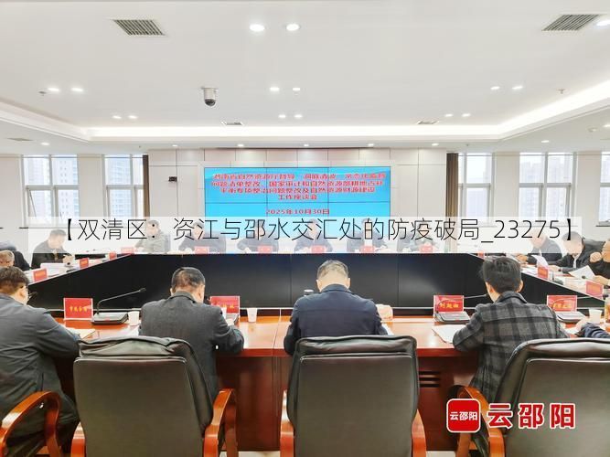 【双清区:资江与邵水交汇处的防疫破局_23275】