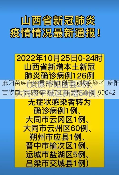 麻阳苗族自治县新增1例无症状感染者  麻阳苗族自治县疫情防控工作最新通报_99042