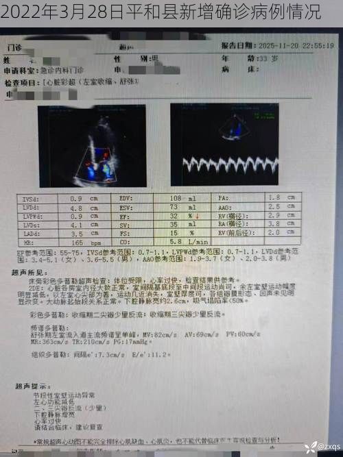 2022年3月28日平和县新增确诊病例情况