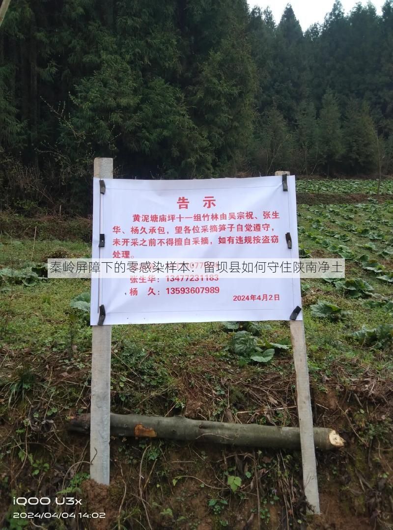 秦岭屏障下的零感染样本:留坝县如何守住陕南净土