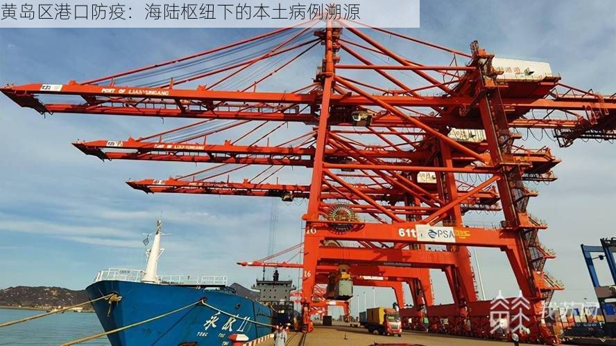 黄岛区港口防疫:海陆枢纽下的本土病例溯源