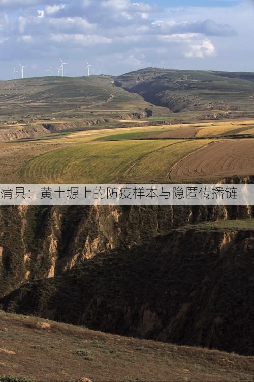 蒲县：黄土塬上的防疫样本与隐匿传播链