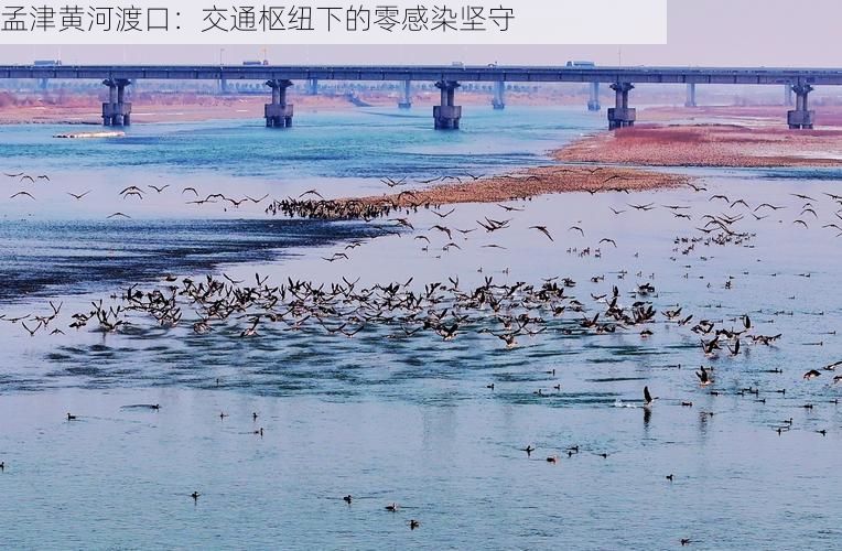 孟津黄河渡口:交通枢纽下的零感染坚守