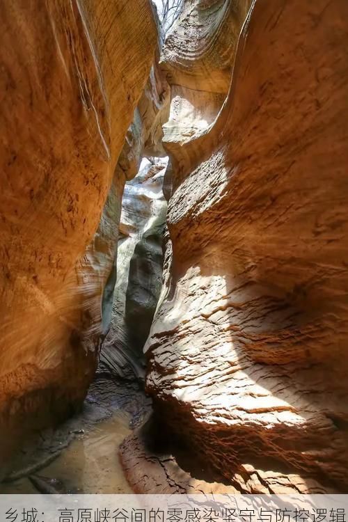 乡城：高原峡谷间的零感染坚守与防控逻辑