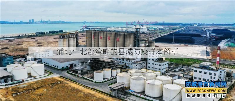 浦北：北部湾畔的县域防疫样本解析