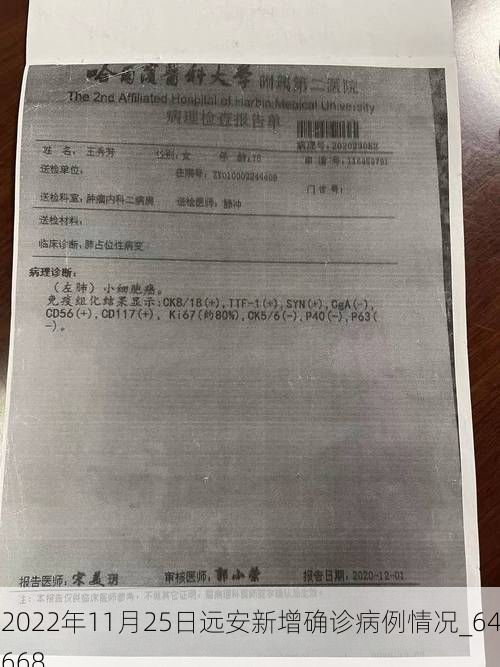 2022年11月25日远安新增确诊病例情况_64668