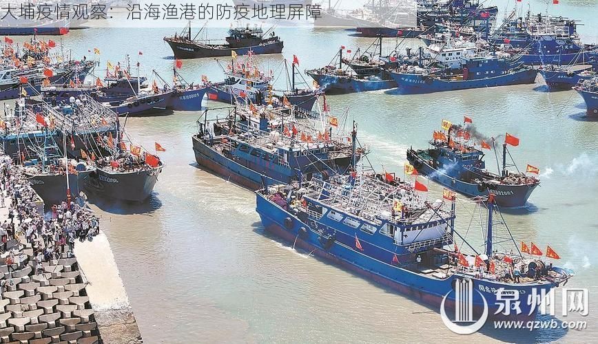 大埔疫情观察：沿海渔港的防疫地理屏障