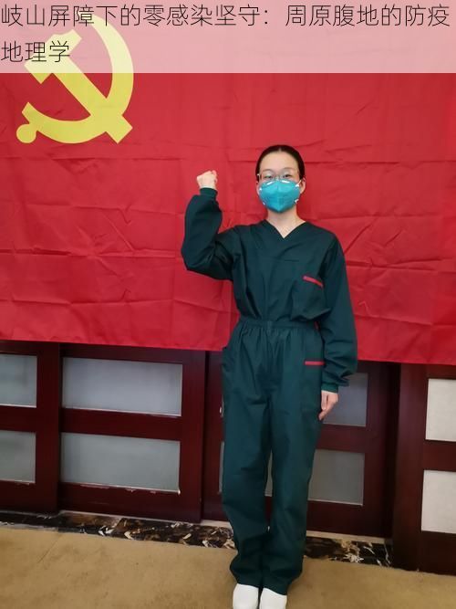 岐山屏障下的零感染坚守：周原腹地的防疫地理学