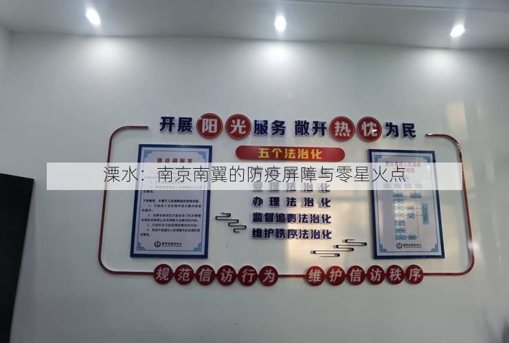 溧水：南京南翼的防疫屏障与零星火点