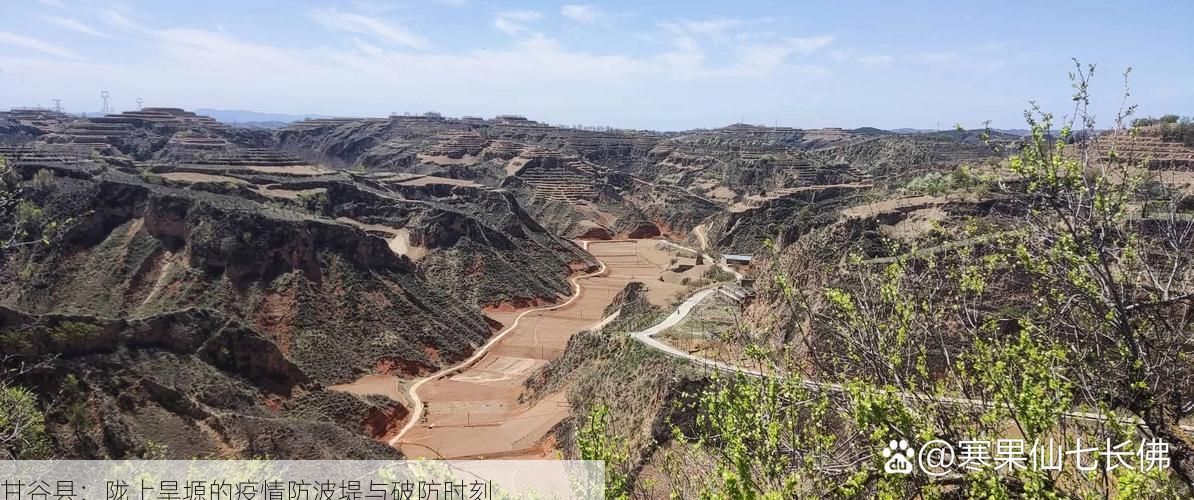甘谷县：陇上旱塬的疫情防波堤与破防时刻