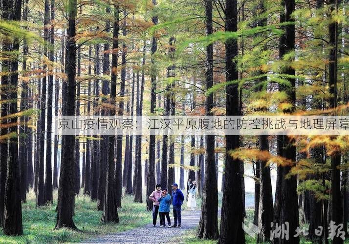 京山疫情观察：江汉平原腹地的防控挑战与地理屏障