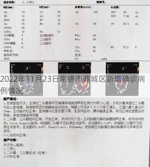 2022年11月23日常德市鼎城区新增确诊病例情况
