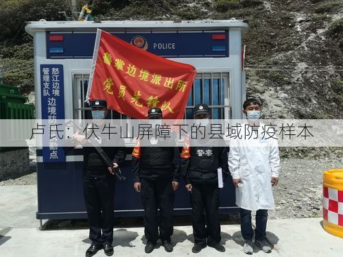 卢氏：伏牛山屏障下的县域防疫样本