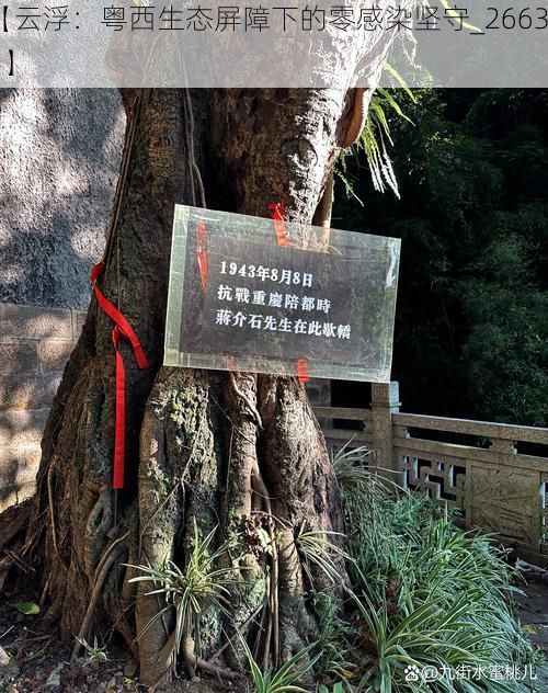 【云浮：粤西生态屏障下的零感染坚守_26634】