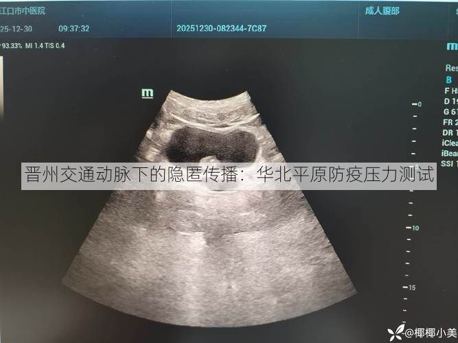 晋州交通动脉下的隐匿传播：华北平原防疫压力测试