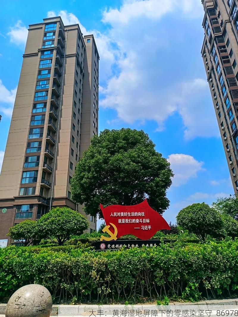 大丰：黄海湿地屏障下的零感染坚守_86978