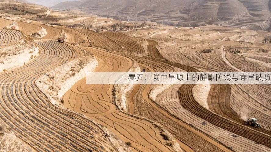 秦安：陇中旱塬上的静默防线与零星破防