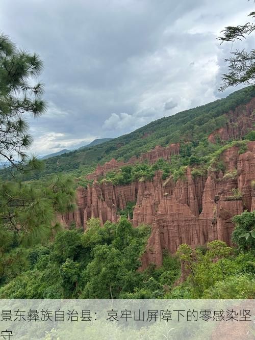 景东彝族自治县：哀牢山屏障下的零感染坚守